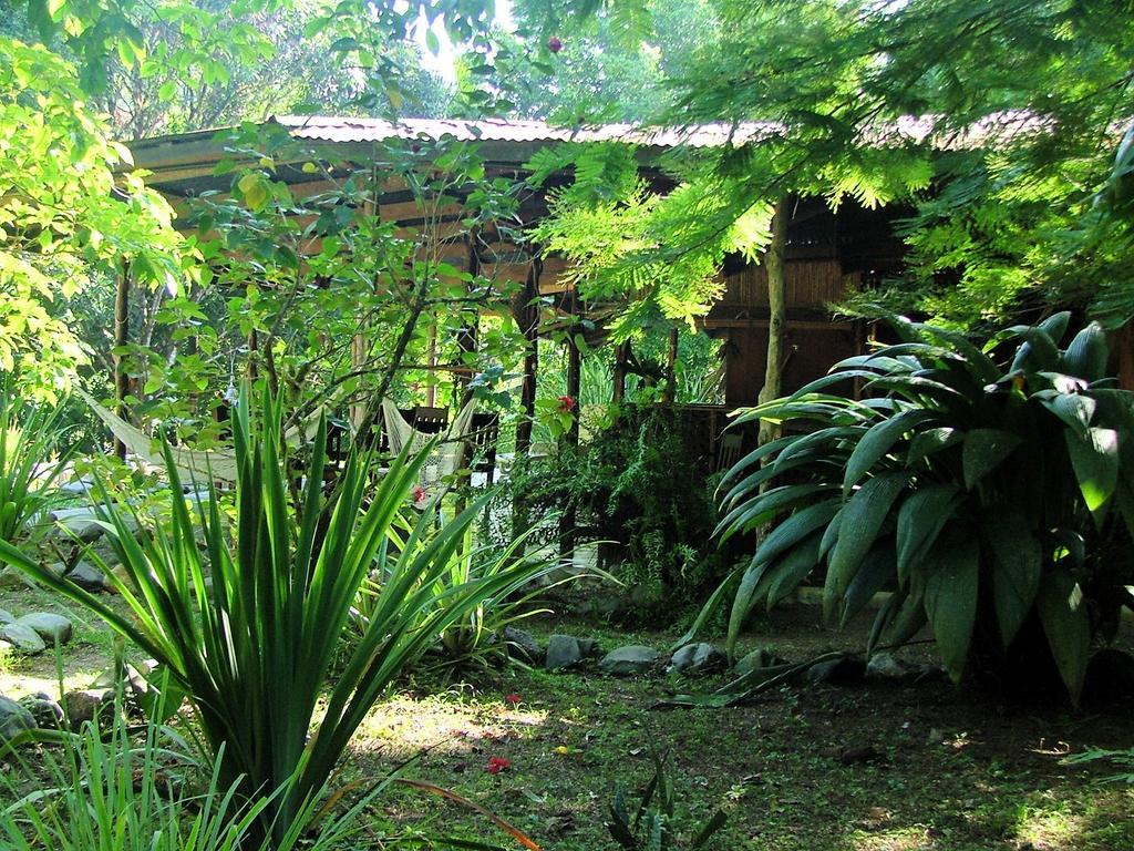 Los Mineros Guesthouse Dos Brazos Exterior photo