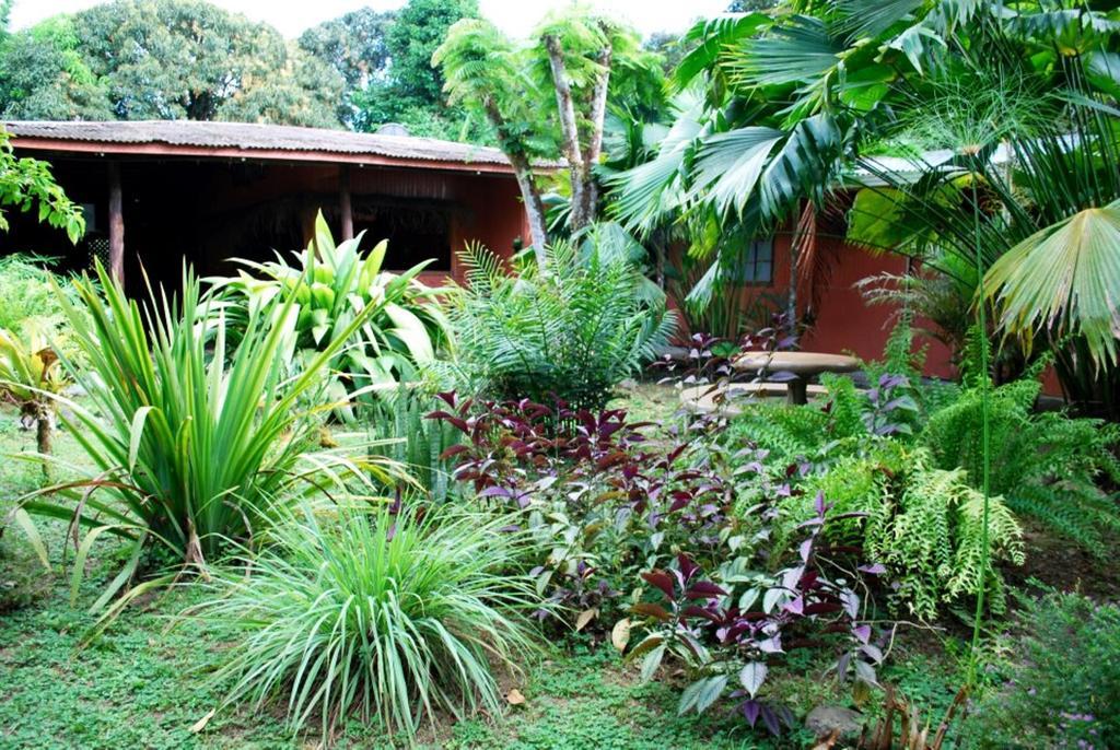 Los Mineros Guesthouse Dos Brazos Exterior photo