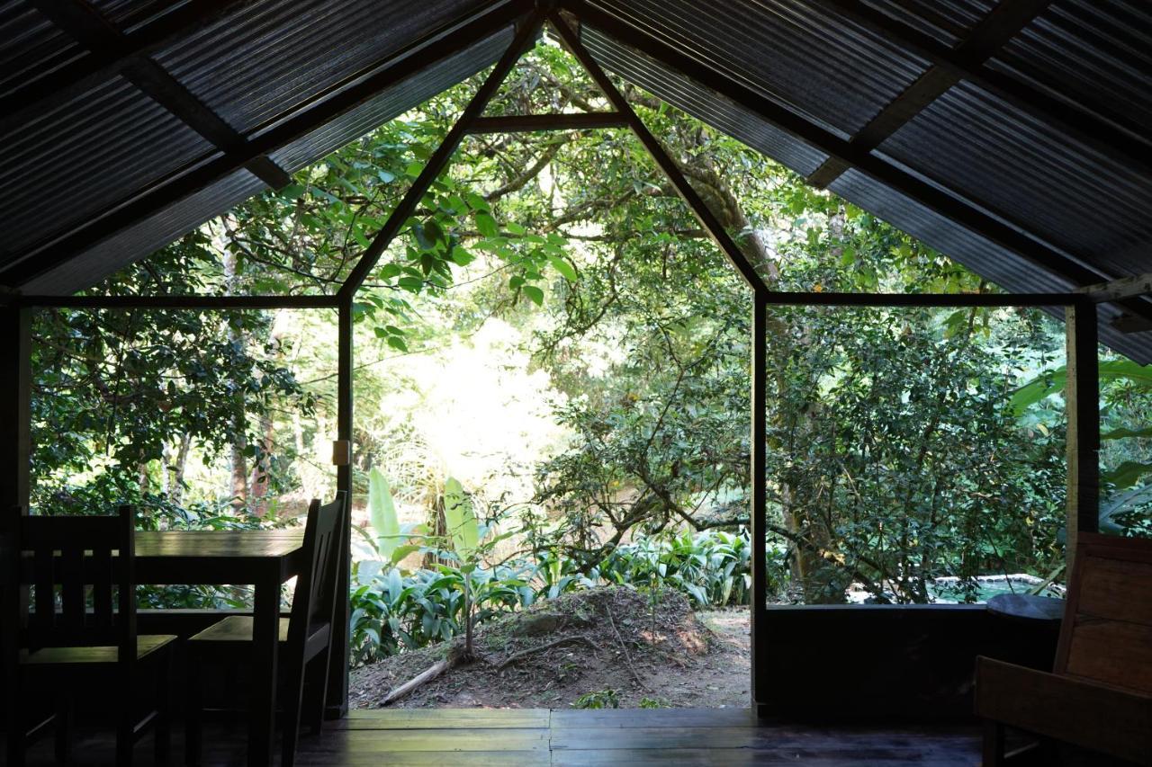 Los Mineros Guesthouse Dos Brazos Exterior photo